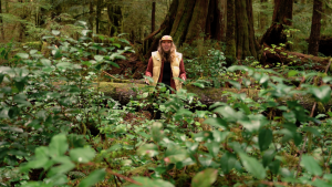 Old growth forests are NOT a renewable resource. A video series by Sierra Club BC