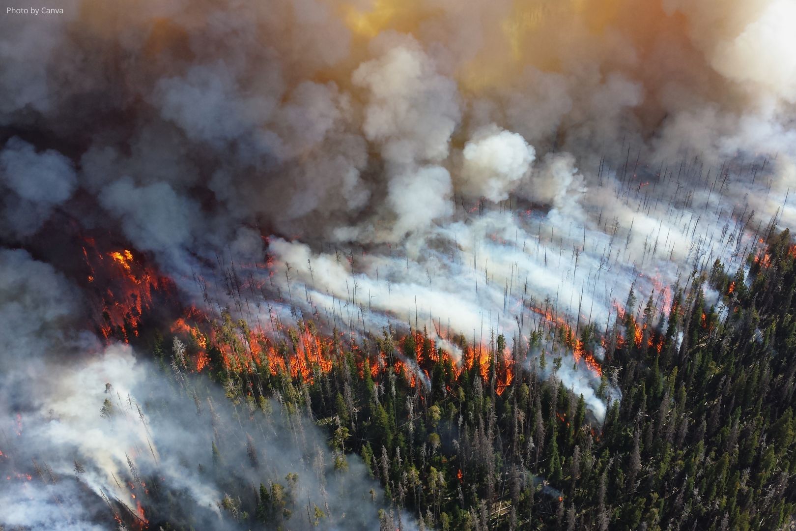 A wildfire burning in a forest. Smoke fills the sky.