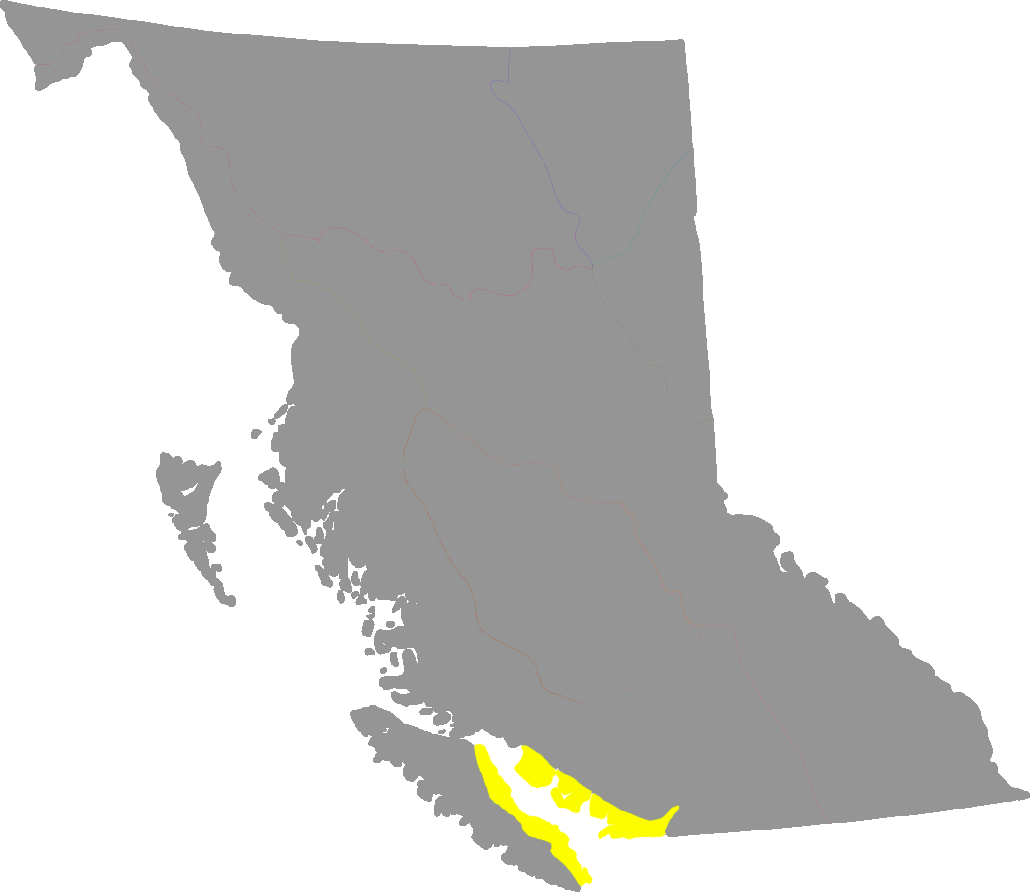 georga-depression georga-depression